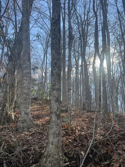 lot18 Mt Mariah, Topton, NC 28781