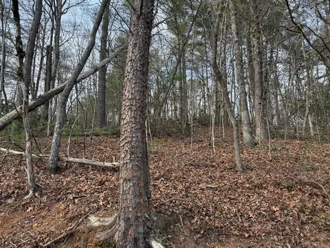 lot5 Ideal Acres, Otto, NC 28763