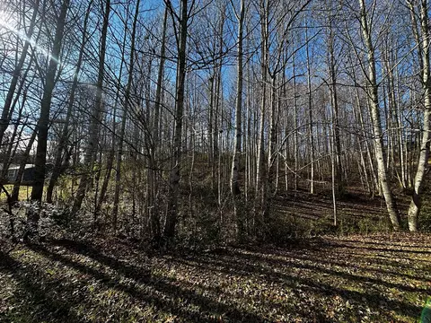0 Dillardtown Rd, Sylva, NC 28779 photo 4