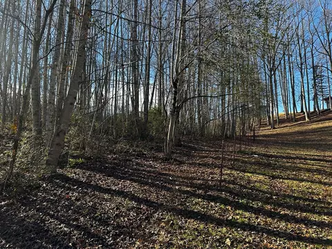 0 Dillardtown Rd, Sylva, NC 28779 photo 8