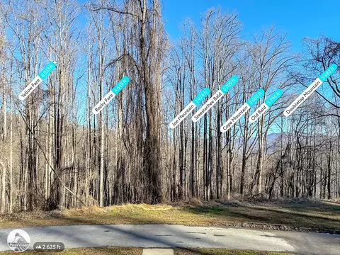 284 Cutting Edge Dr, Sylva, NC 28779 photo 31