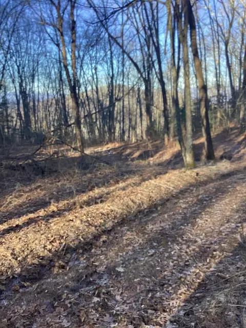 0 Frye Mtn, Bryson City, NC 28713