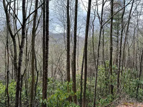 lot16 Stillwind Dr, Topton, NC 28781