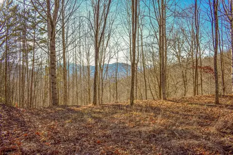 10 Ridge Pl, Bryson City, NC 28713