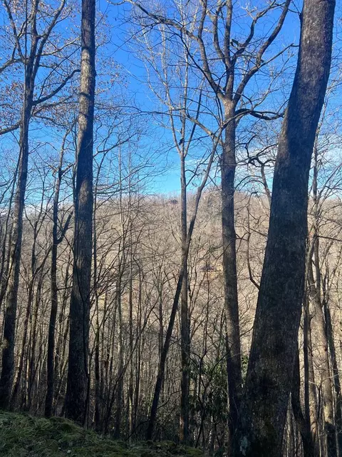 lot2 Mt Tabor, Topton, NC 28781