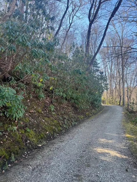lot3 Mt Tabor, Topton, NC 28781