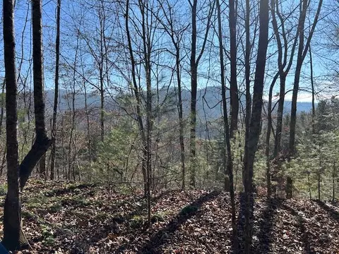 0 Camp Br, Topton, NC 28781