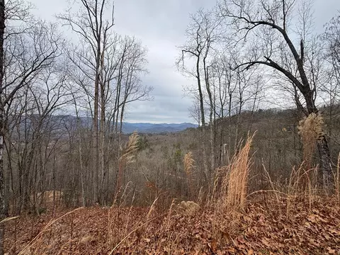 999 Breedlove Rd, Bryson City, NC 28713