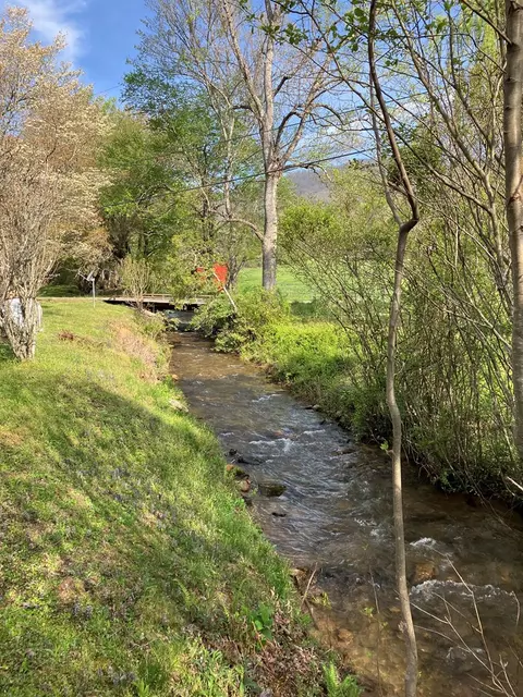 45 Old Cove Rd, Sylva, NC 28779 photo 6