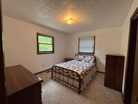 45 Old Cove Rd, Sylva, NC 28779 photo 25