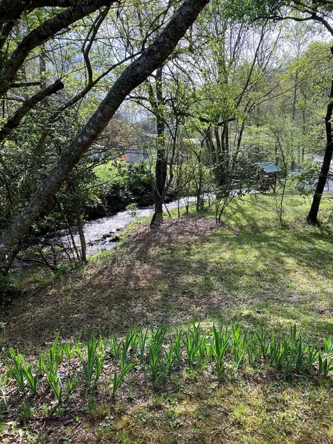 45 Old Cove Rd, Sylva, NC 28779 photo 11