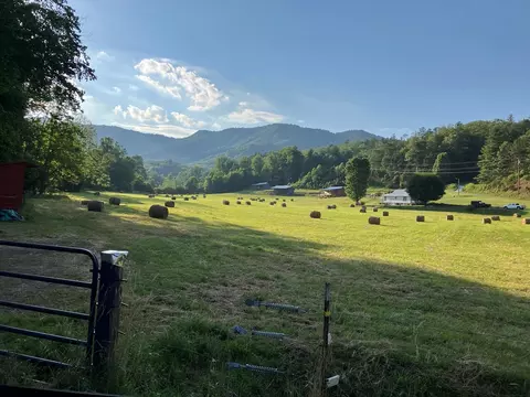 45 Old Cove Rd, Sylva, NC 28779 photo 35