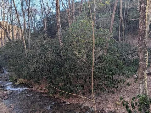 00 Meadow View Trl, Franklin, NC 28734