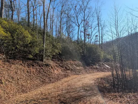 357 Golden Falls Dr, Franklin, NC 28734
