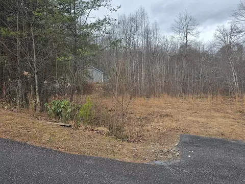 138 Fairlane Loop, Whittier, NC 28789 photo 16