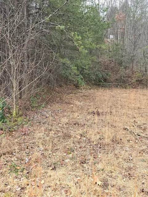138 Fairlane Loop, Whittier, NC 28789 photo 20