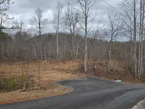 138 Fairlane Loop, Whittier, NC 28789 photo 14