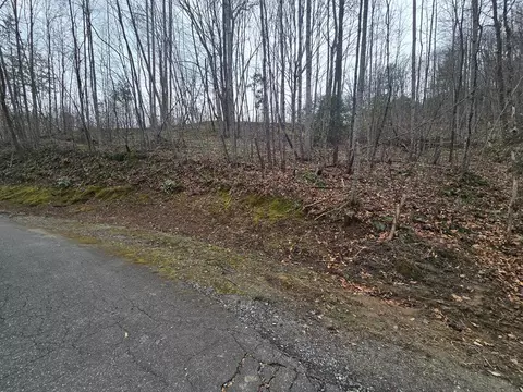 138 Fairlane Loop, Whittier, NC 28789 photo 28