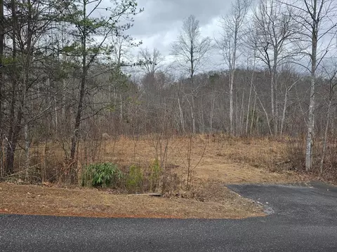 138 Fairlane Loop, Whittier, NC 28789 photo 15