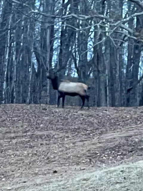 Other - 2778 Mule Stomp Rd, Clyde, NC 28721 photo 28 of 36