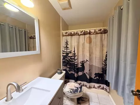 Bath - 2778 Mule Stomp Rd, Clyde, NC 28721 photo 2 of 2