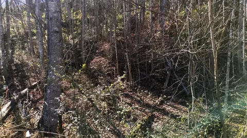 0 E Main St, Sylva, NC 28723 photo 18