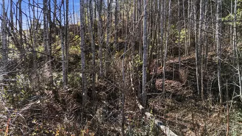 0 E Main St, Sylva, NC 28723 photo 17