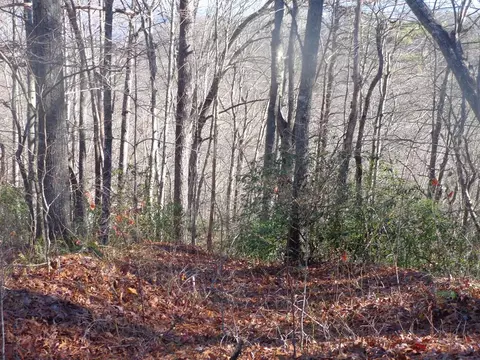 lot20 Vail Pass Rd, Whittier, NC 28789