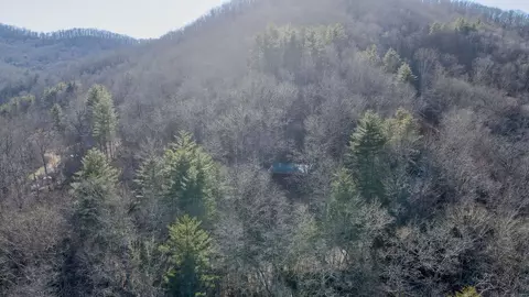Other - 465 Enchanted Forest Dr, Sylva, NC 28779 photo 23 of 24