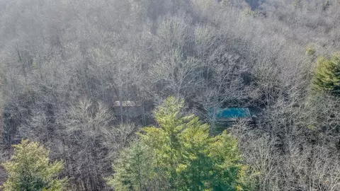 View/Area - 465 Enchanted Forest Dr, Sylva, NC 28779 photo 1 of 4
