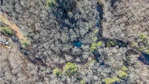 View/Area - 465 Enchanted Forest Dr, Sylva, NC 28779 photo 4 of 4