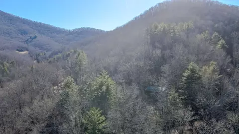 Other - 465 Enchanted Forest Dr, Sylva, NC 28779 photo 24 of 24