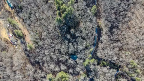 View/Area - 465 Enchanted Forest Dr, Sylva, NC 28779 photo 3 of 4