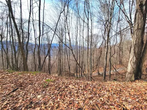 75 Rimrock Rdg, Clyde, NC 28721