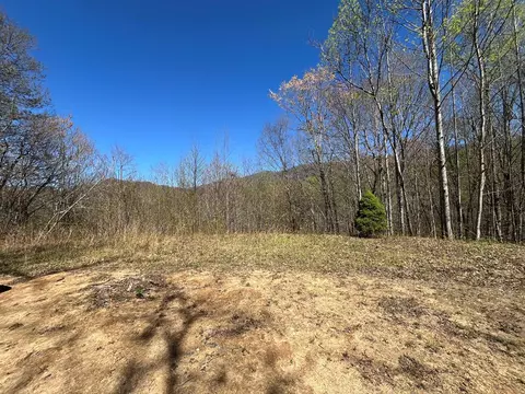 359 Loon Ln, Whittier, NC 28789
