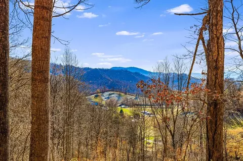 550 Cale Way, Clyde, NC 28721