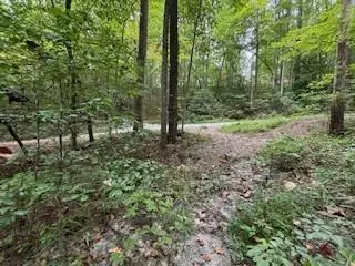 0 Laurel Spring Dr, Bryson City, NC 28713