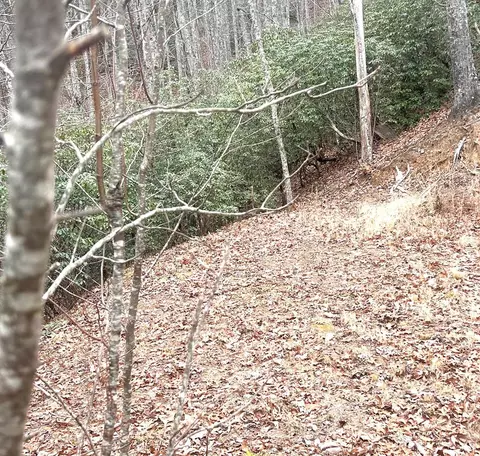 0 Upper Sawyer Crk, Robbinsville Graham, NC 28713