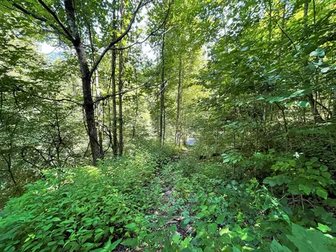 0 Starry Dr, Bryson City, NC 28713