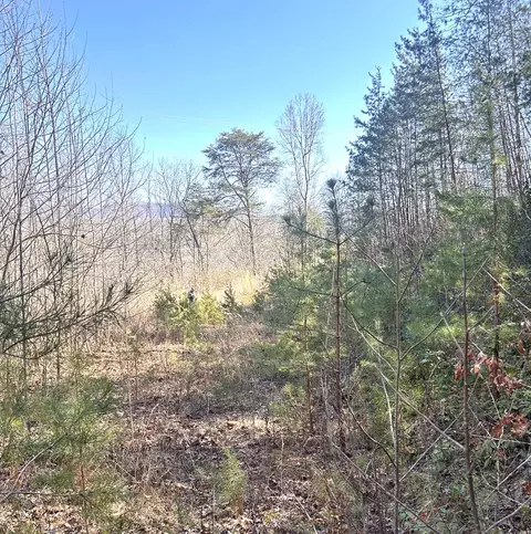 1 Tanger Rd, Whittier, NC 28789