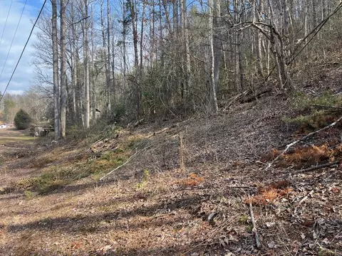 0 Robinson Gap Rd, Bryson City, NC 28713