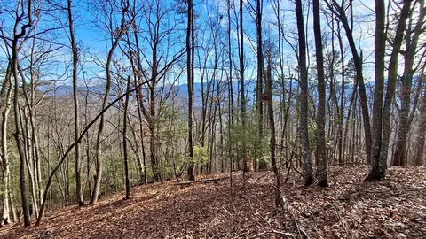 0 Briarwood Rd, Webster, NC 28788