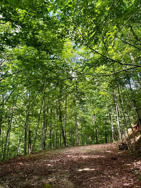 27 Overlook Dr # B, Robbinsville Graham, NC 28771