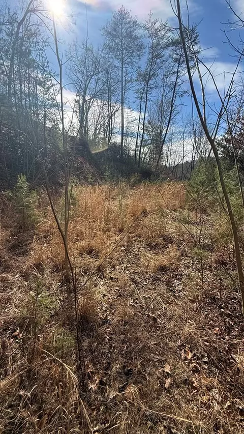 0 Back Of Beyond, Bryson City, NC 28713