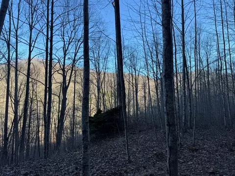 65 Savannah View Ln, Sylva, NC 28779 photo 6