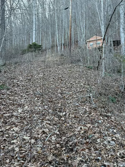 65 Savannah View Ln, Sylva, NC 28779 photo 3