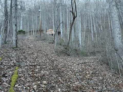 65 Savannah View Ln, Sylva, NC 28779 photo 8