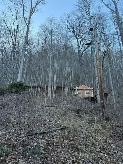 65 Savannah View Ln, Sylva, NC 28779 photo 2