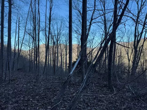 65 Savannah View Ln, Sylva, NC 28779 photo 7