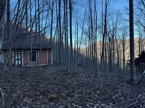 65 Savannah View Ln, Sylva, NC 28779